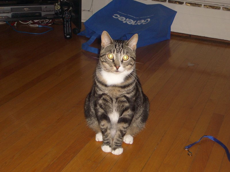 Sitting Observing Me