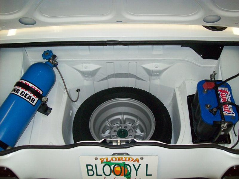 small 100_0973 trunk