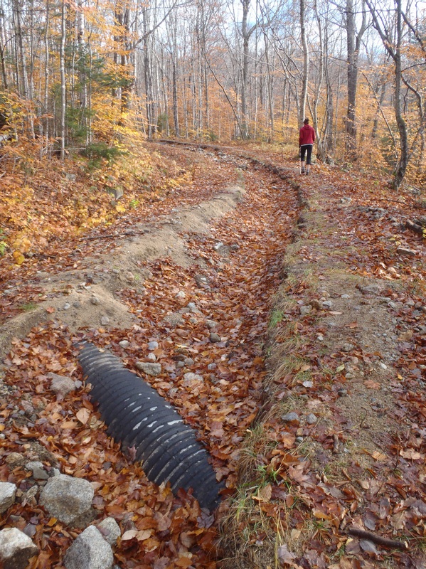 Livermore road washout