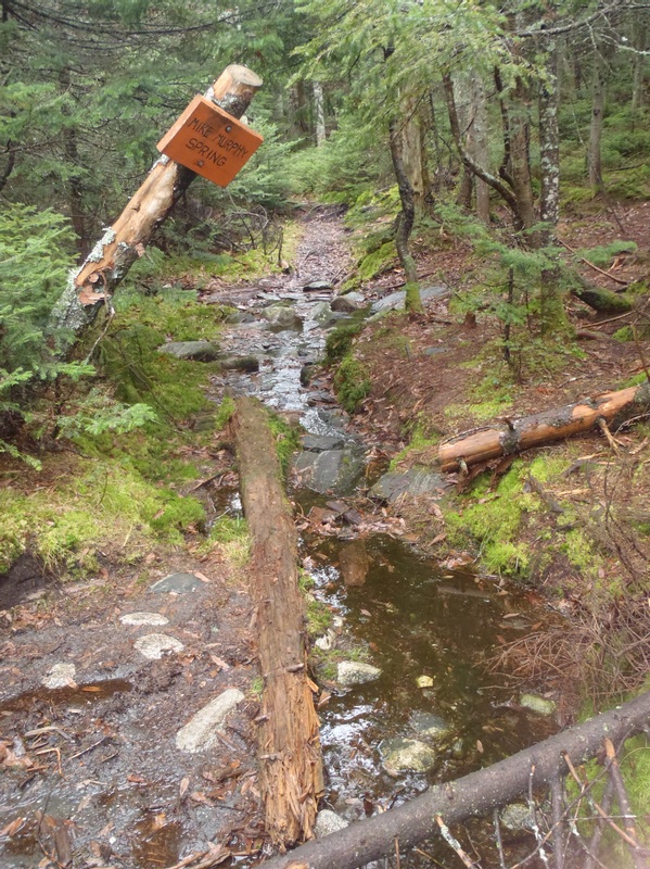 Shitty looking spring.