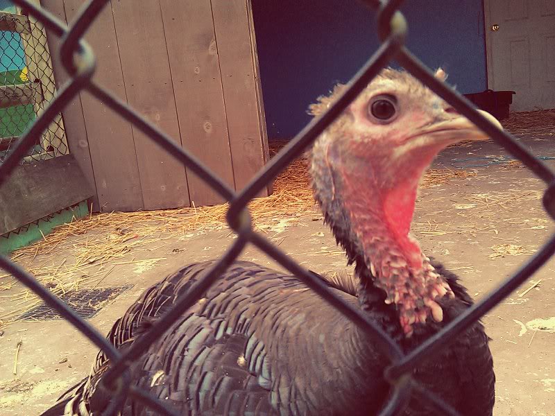 C360_2011-10-26 10-47-26