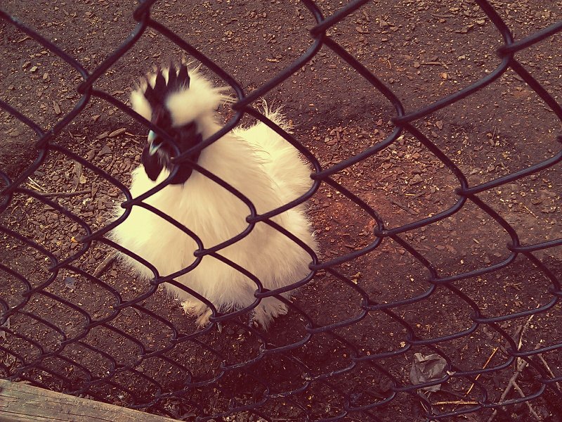 C360_2011-10-26 10-53-22