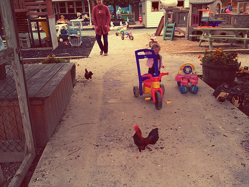 C360_2011-10-26 10-53-30