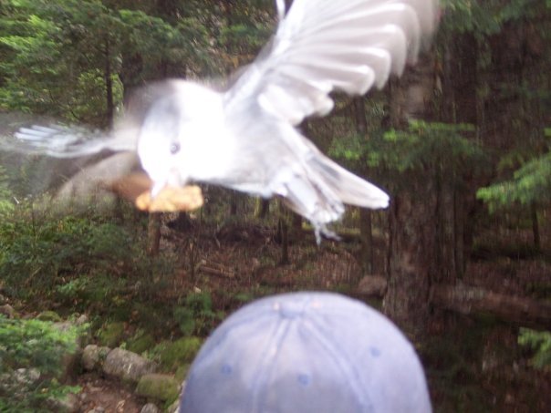 9324_1250762788 656_1217092220_ 30755347_667269 2_n