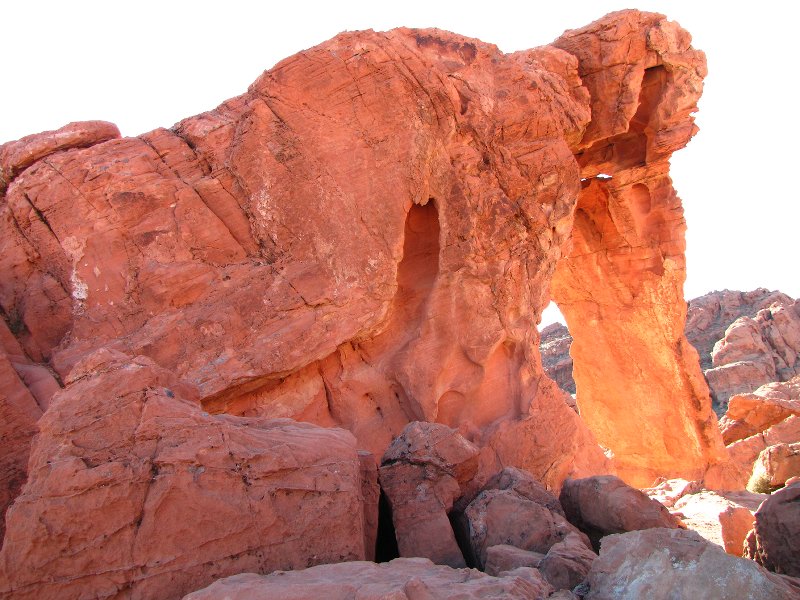 From the other side with highlighted trunk