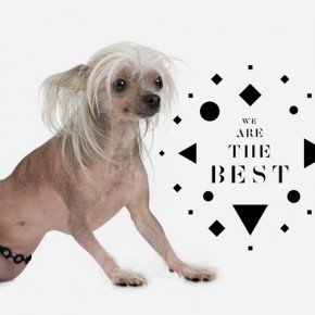 The-Chap-We-Are -The-Best-290x2 90