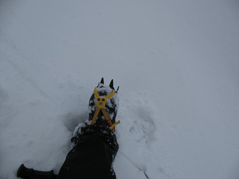 MACOMB-S. DIX--E.DIX-HOUG H 007