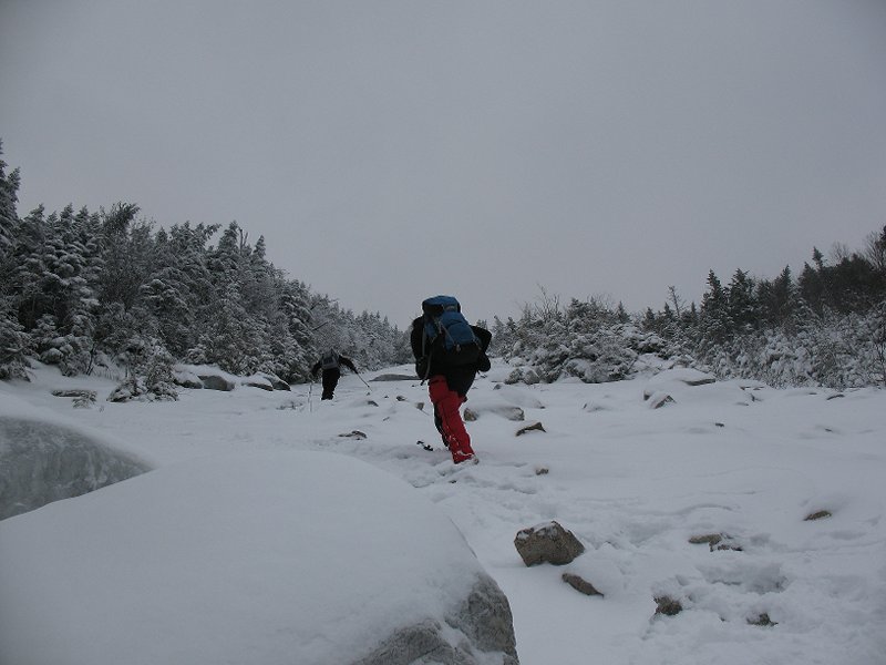 MACOMB-S. DIX--E.DIX-HOUG H 008