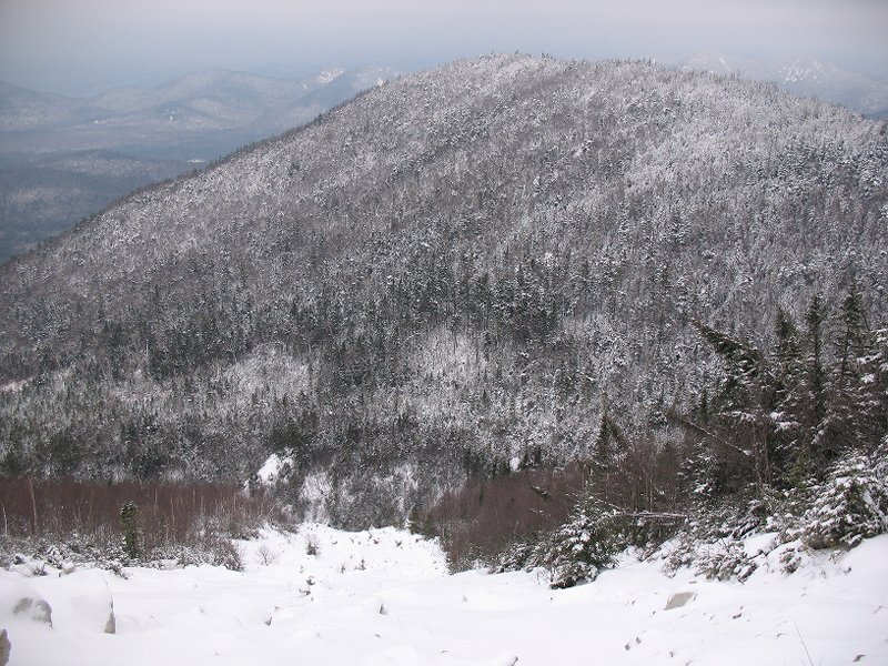 MACOMB-S. DIX--E.DIX-HOUG H 011