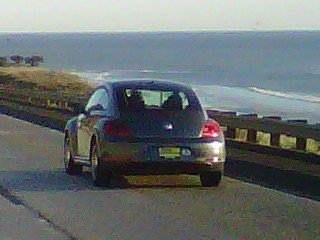 IMG00296-201201 09-1610