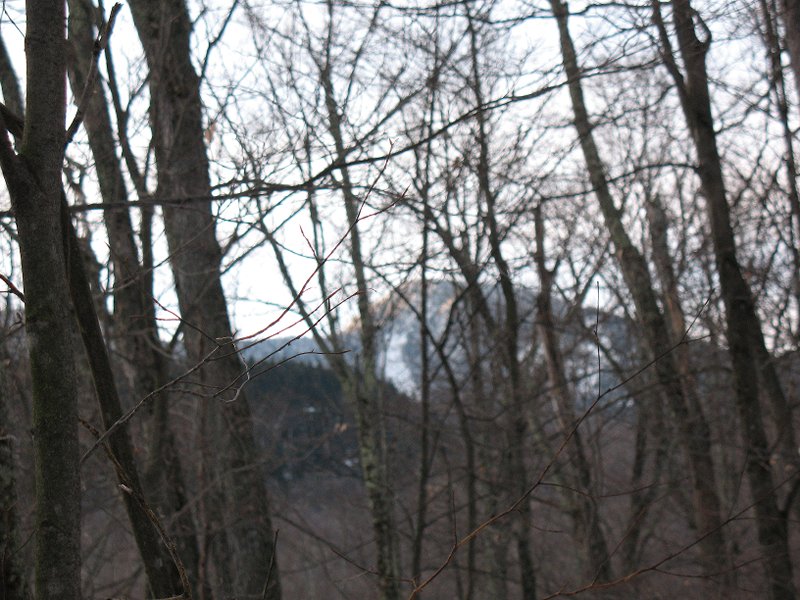 WOLFJAWS WINTER 1-28-12 006