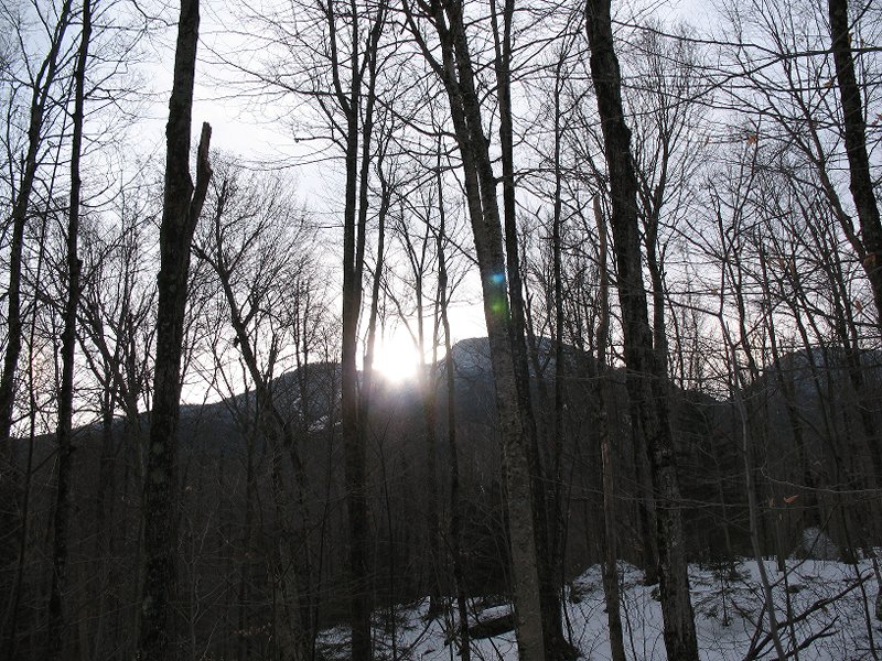 WOLFJAWS WINTER 1-28-12 007