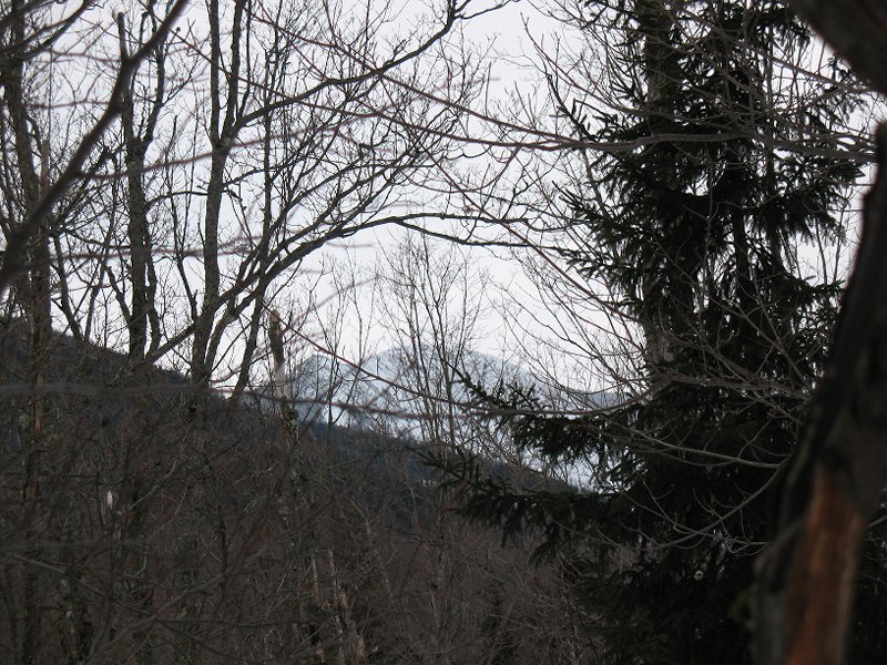 WOLFJAWS WINTER 1-28-12 008