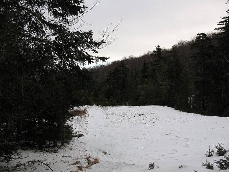 WOLFJAWS WINTER 1-28-12 009