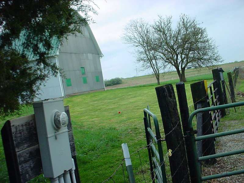 our new tomato garden