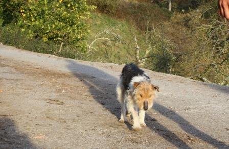 Lina_casapedro_ 040312 (1)