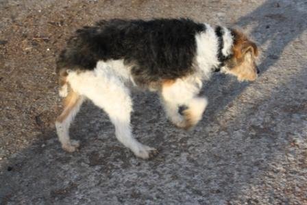 Lina_casapedro_ 040312 (5)