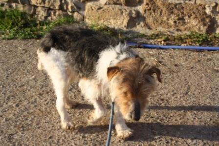 Lina_casapedro_ 040312 (6)