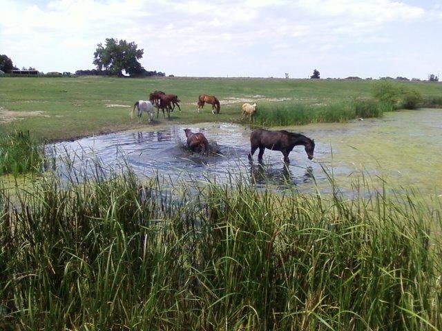 PART95134212643 0203