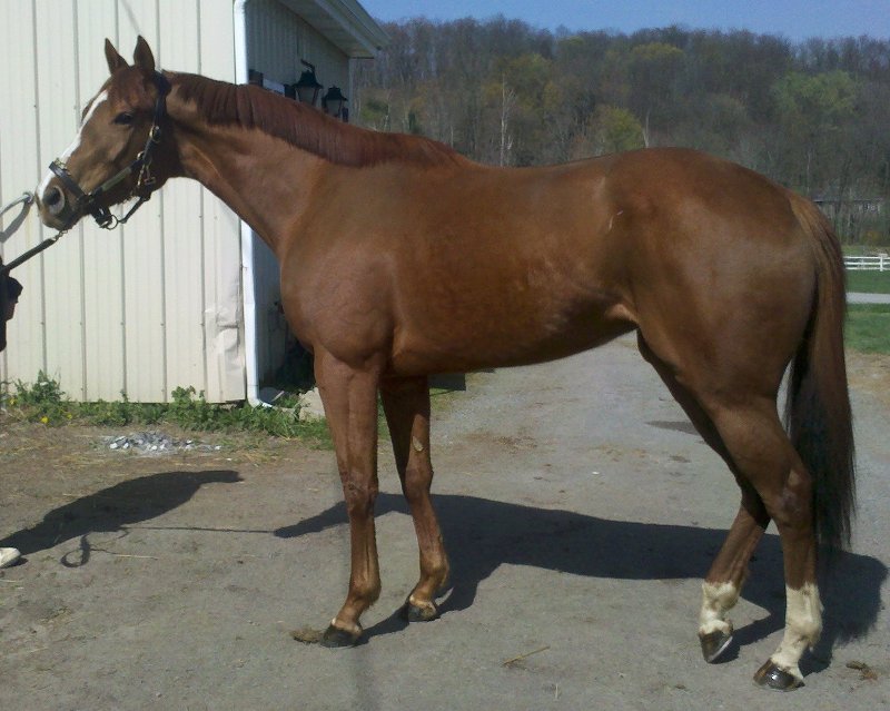 IMG_20120330_11 1647