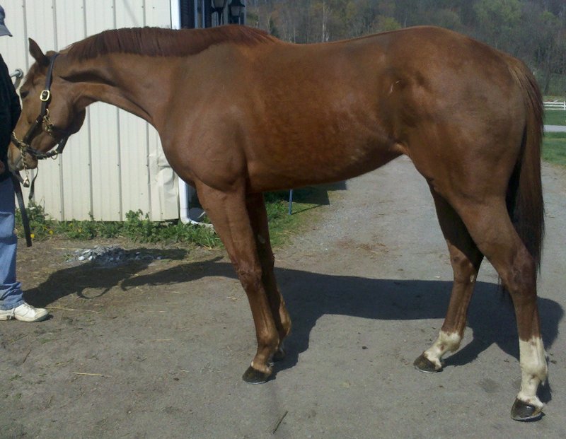 IMG_20120330_11 1846