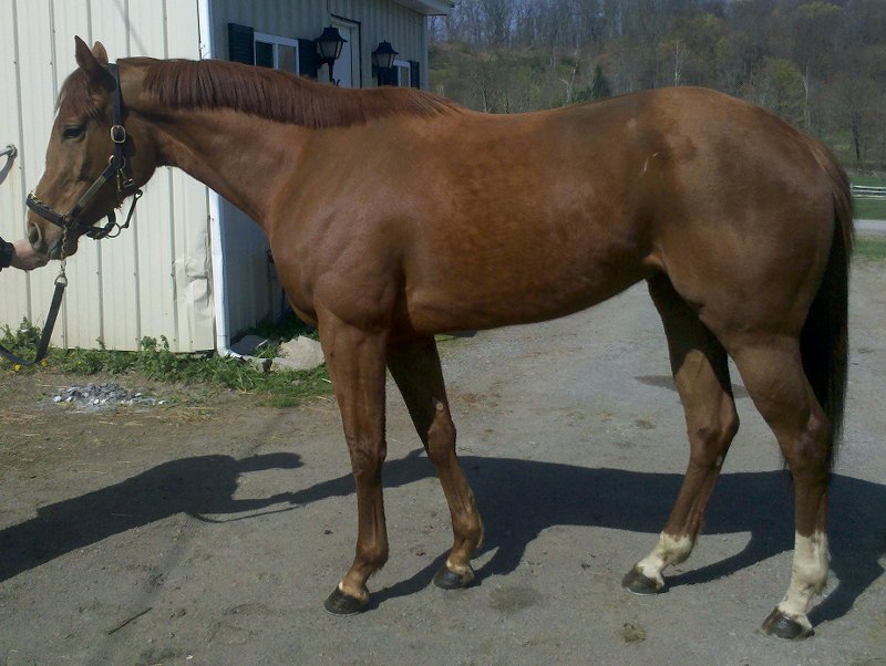 IMG_20120330_11 1946