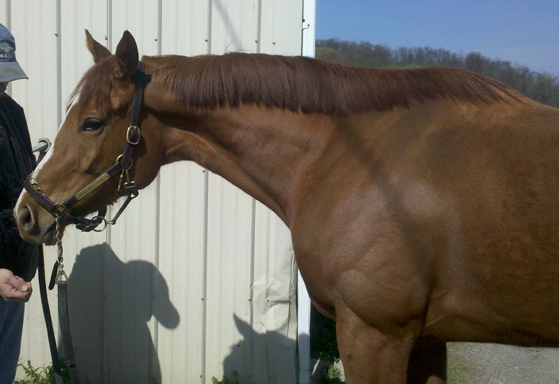 IMG_20120330_11 2128