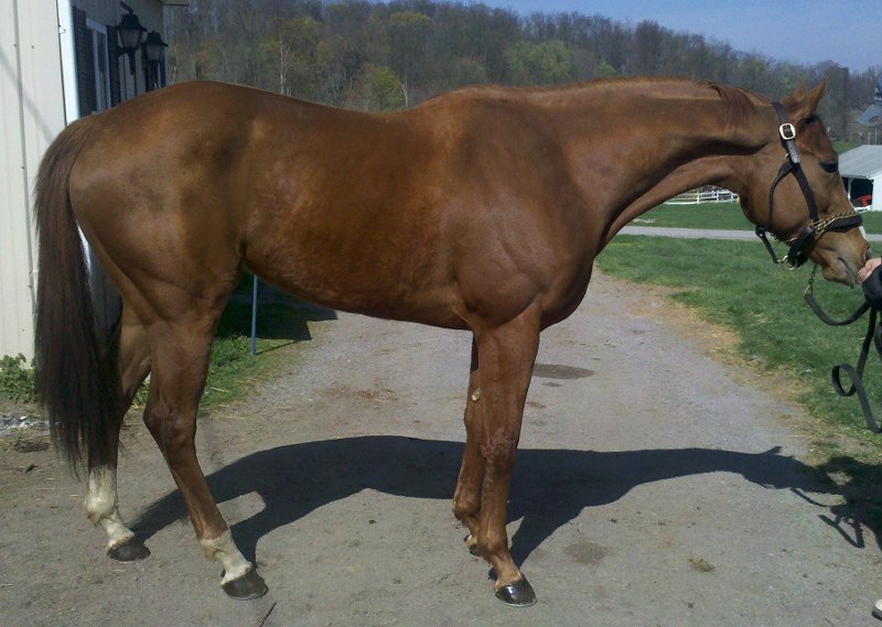 IMG_20120330_11 2153