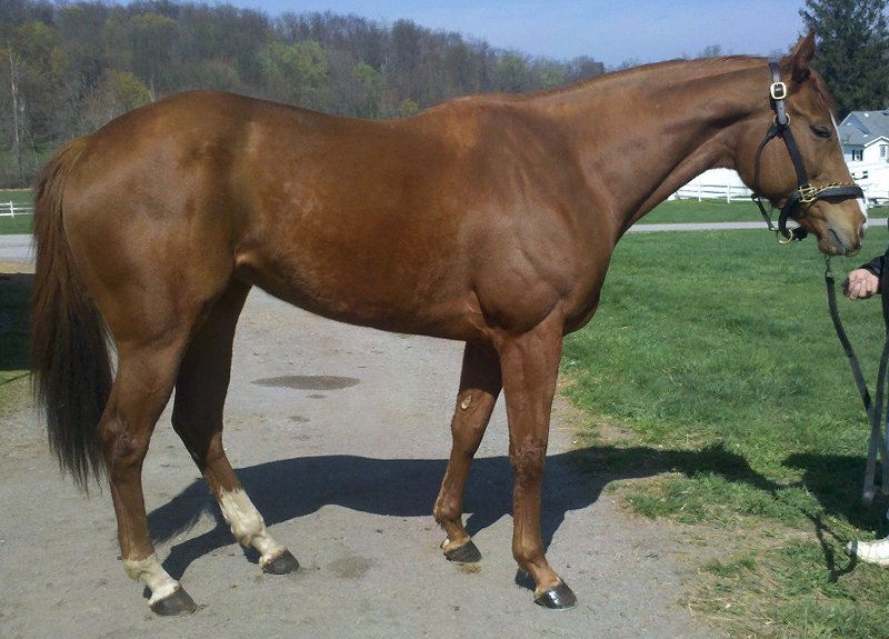 IMG_20120330_11 2210