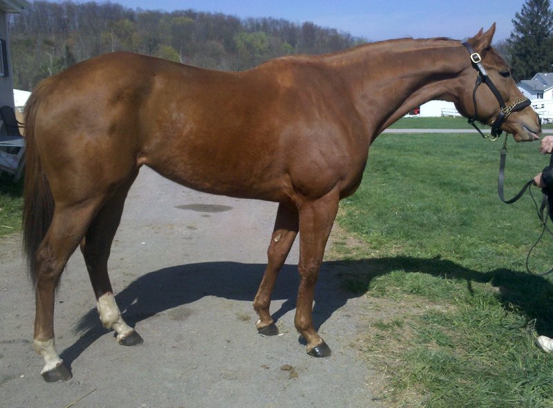 IMG_20120330_11 2226