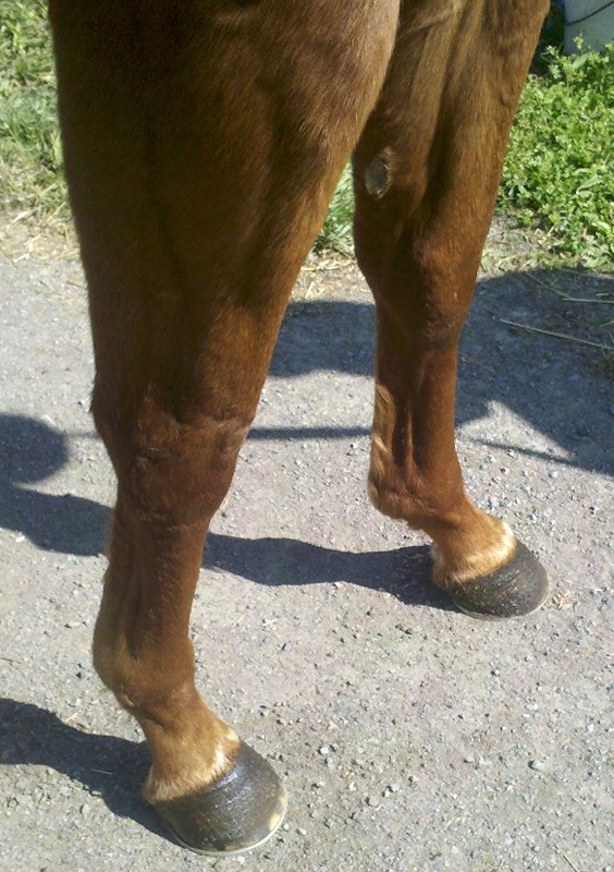 IMG_20120330_11 2415