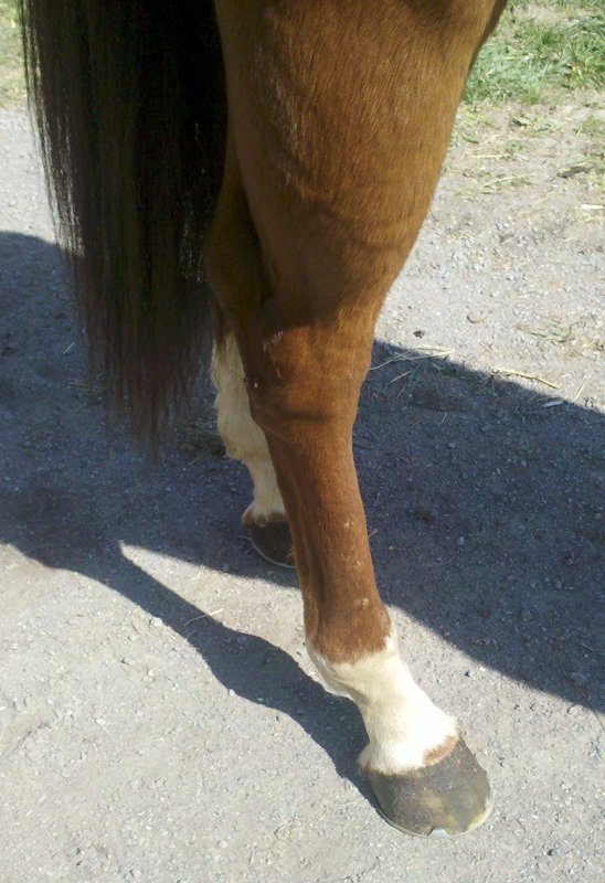 IMG_20120330_11 2420