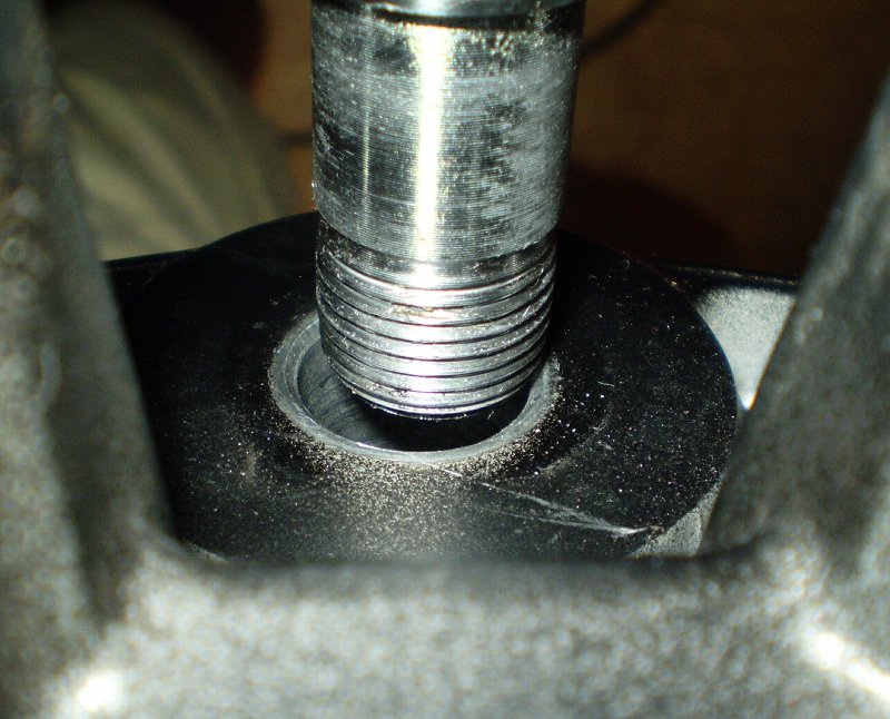 Lower Fork Triple Tree