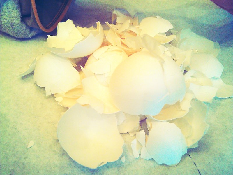 C360_2012-04-08 -07-19-14