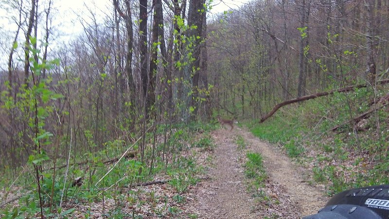 Rampfest 2012 4-14-2012 002