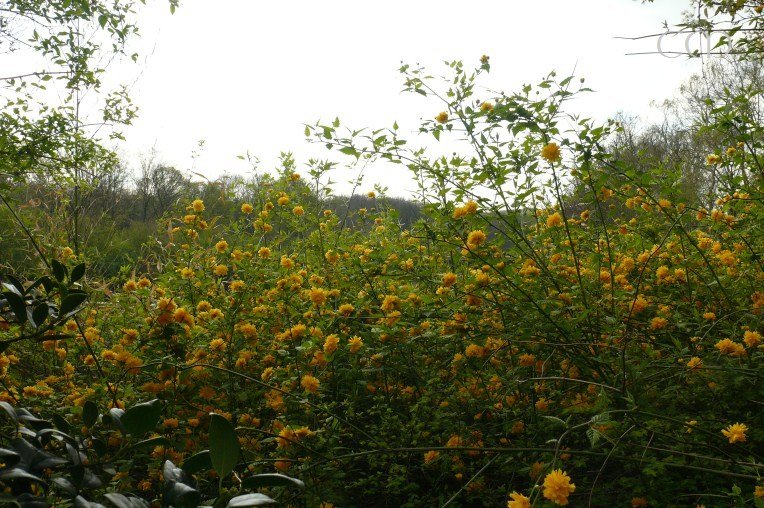 You feel like in the middle of a landscape...