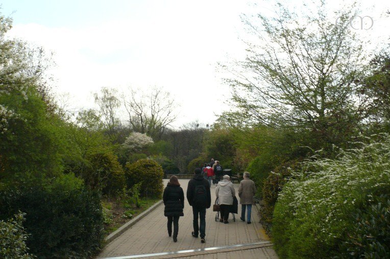 ...let's walk down this nice way...