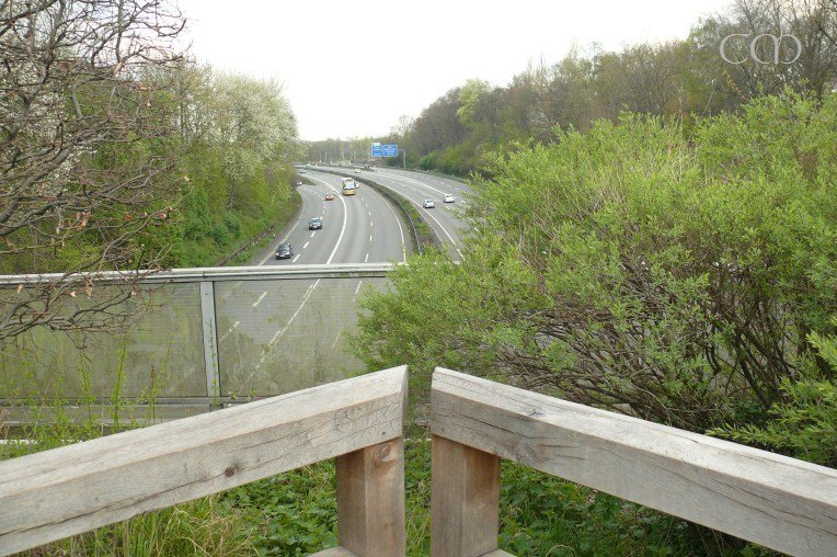 ...you see you are above a busy busy freeway!!!