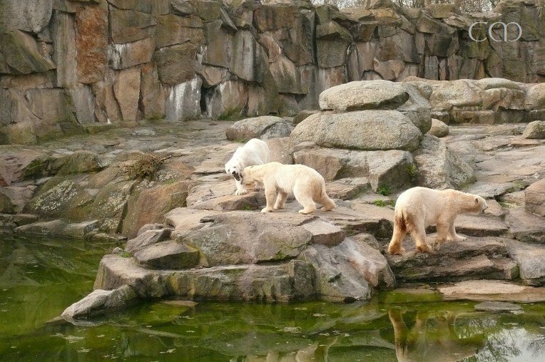 Tosca and Kati a bit bitchy!