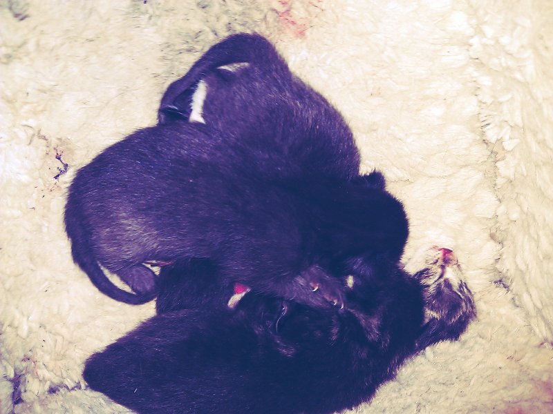 C360_2012-04-19 -18-00-29