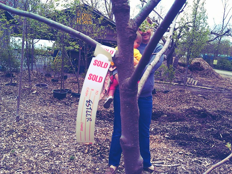 C360_2012-04-25 -13-13-38