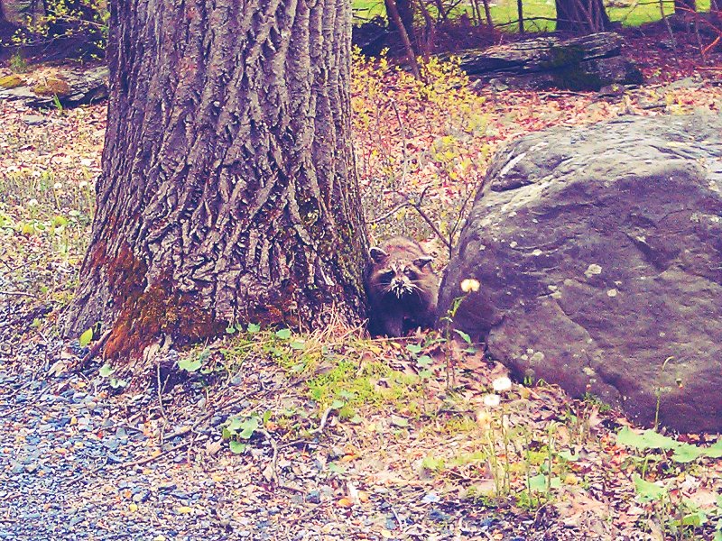 C360_2012-05-03 -18-44-07