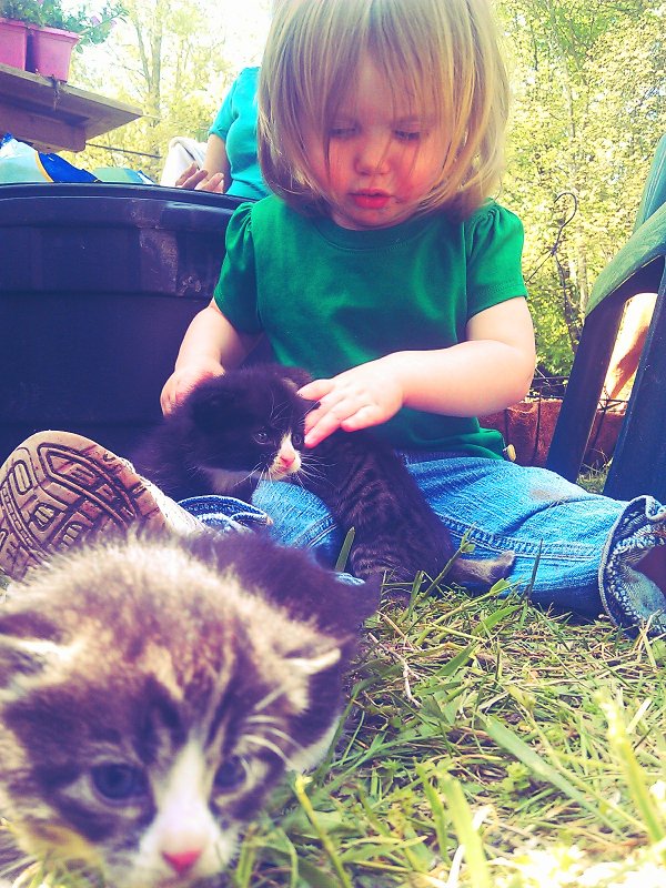 C360_2012-05-13 -10-55-43