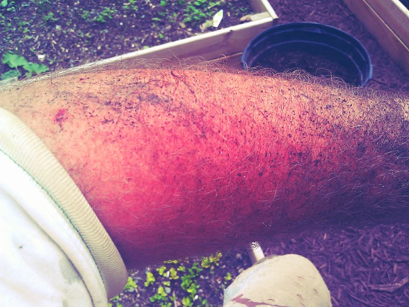 C360_2012-05-13 -17-54-36