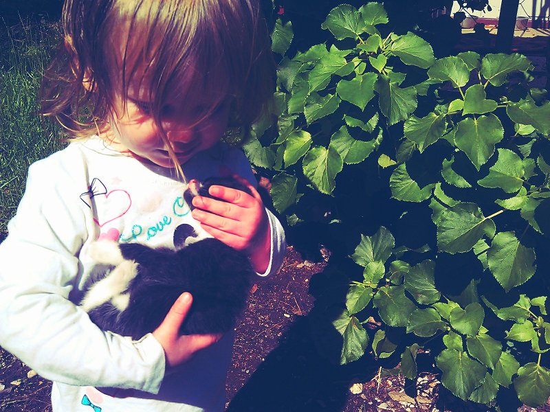 C360_2012-05-18 -10-01-27