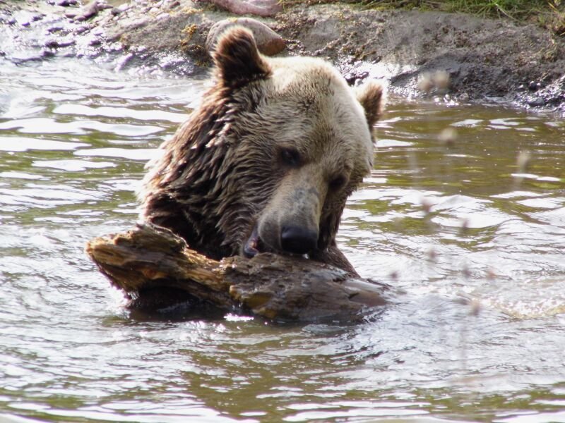 so eine dickes HOlz ist ein feines Spielzeug