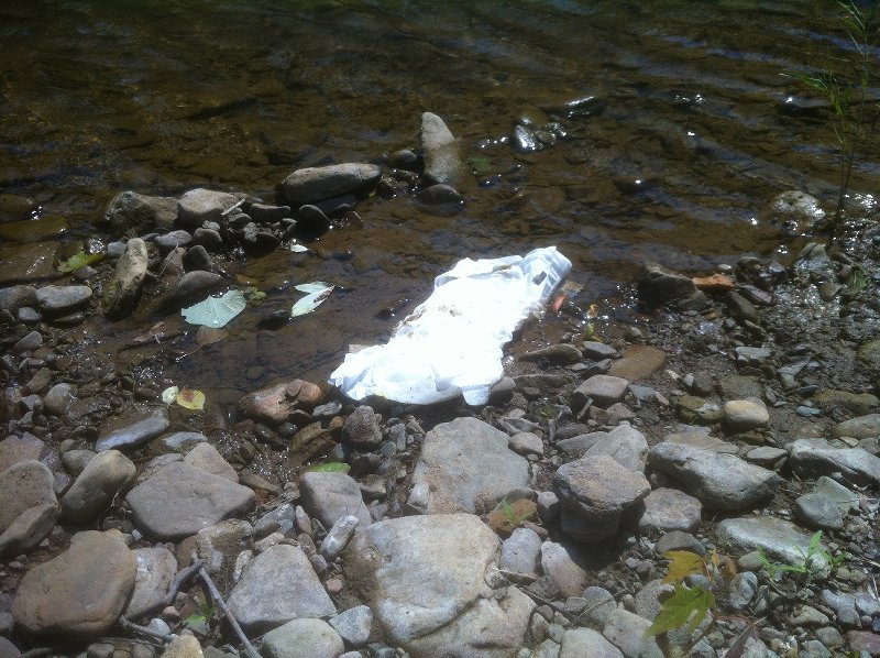 Diaper in Creek