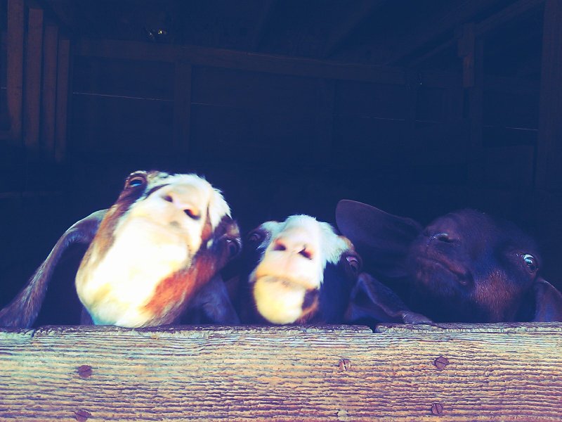 C360_2012-06-06 -07-58-19