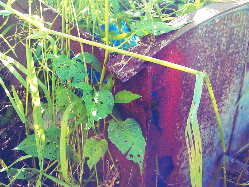 C360_2012-06-06 -09-40-08