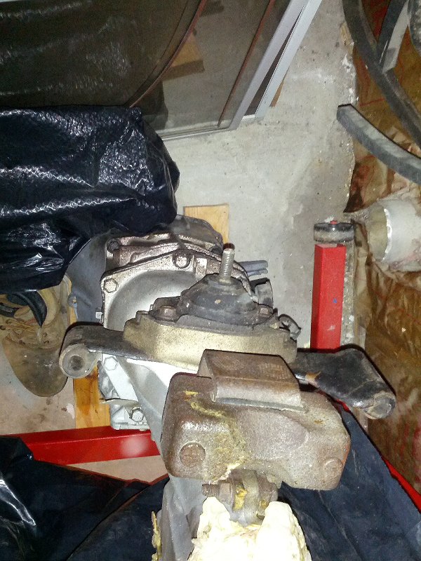 IMG_20120617_11 0442